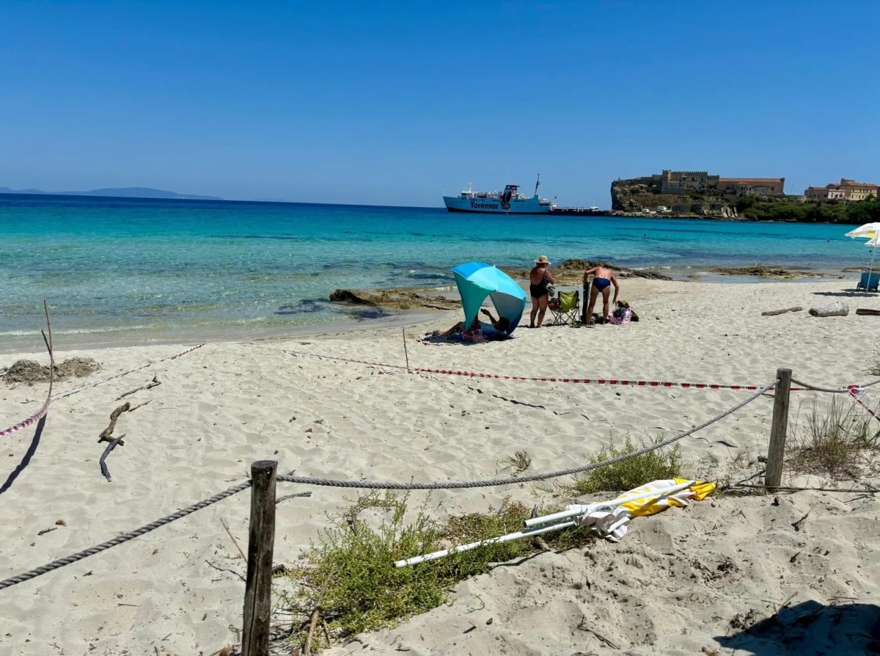 Quinta deposizione di Caretta caretta a Cala Giovanna